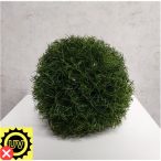 Selyemvirág gömb D21 - Zöld