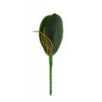 Selyemvirág orchidea levél 25cm - Zöld