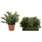 MŰVIRÁG ZÖLDNÖVÉNY 25CM TÖBB FÉLE