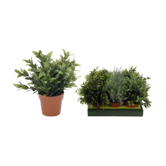 MŰVIRÁG ZÖLDNÖVÉNY 25CM TÖBB FÉLE