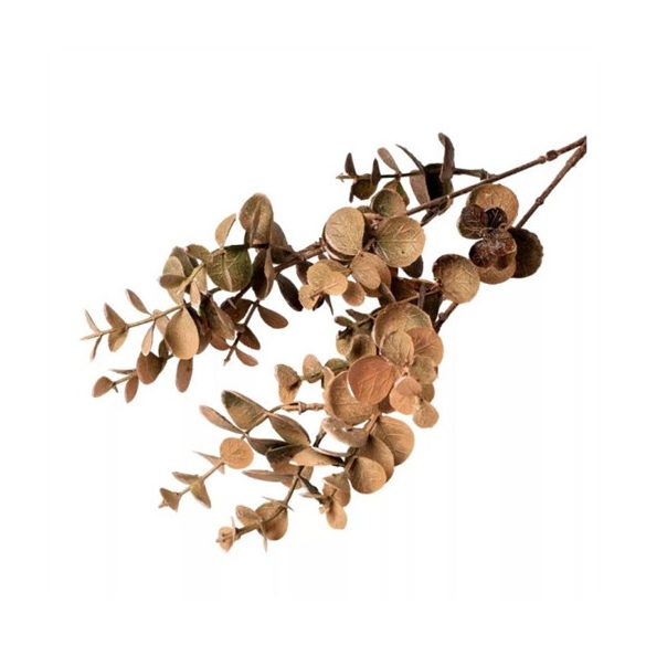 Eukaliptusz növény 38cm - Krém