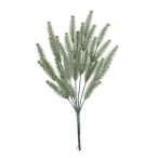 Dogtail grass 32cm - Zöld