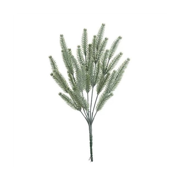 Dogtail grass 32cm - Zöld