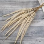 Zsálya köteg 6 szálas 50 cm - Bézs