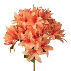 Orchidea csokor 5ágú 29cm magas - Bézs