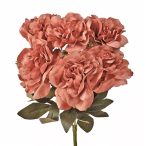 Peónia csokor 7ágú 38cm - Púder barna