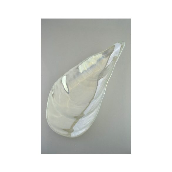 ÜVEG KÍNÁLÓTÁL KAGYLÓ FORMA 37X16CM ˝SHELLS˝