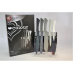 Késkészlet plexi tartóban 5 részes