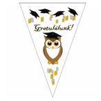   Ballagós zászlós girland "Gratulálunk" bagollyal