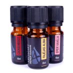   AromArt Prémium illatolaj/illatkeverék 10ml - Gyömbéres keksz