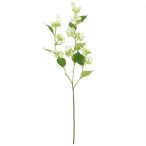 Wild Hortenzia krém 93cm