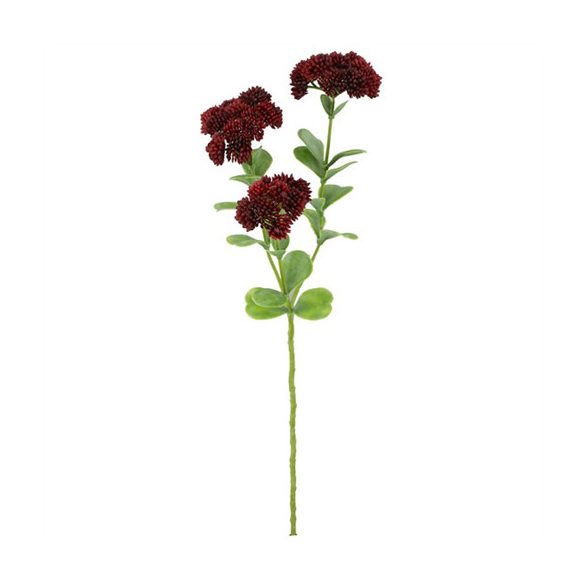 Sedum mélyvörös 56cm