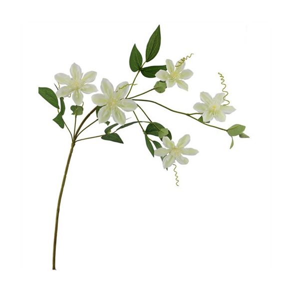Clematis ág 78cm - Krém