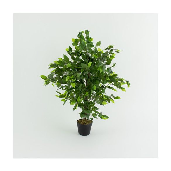 Fikusz fa 90cm (műanyag cserépben)