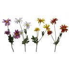 Százszorszép 55cm 3fej - Narancs