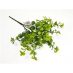 Menta bokor 32 cm - Zöld