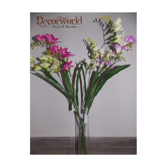 Frézia 75cm 6 féle