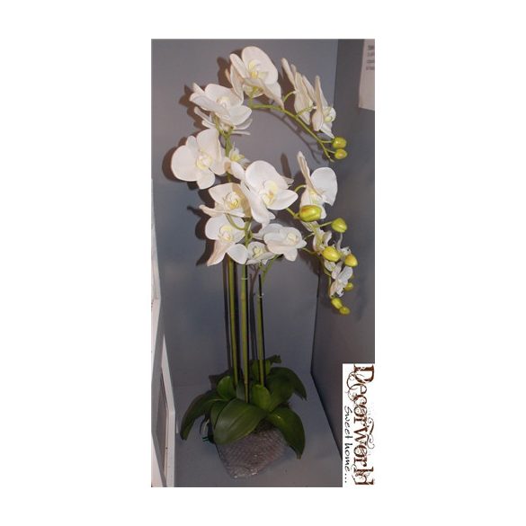 Orchidea 3 szálas gumi fehér/ciklámen 90-95cm akciós több színben!