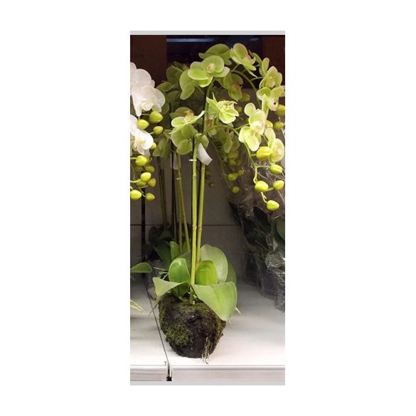 Orchidea két szálas gumi lila/zöld 60-65cm akciós