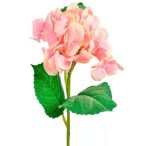 Hortenzia szál 67cm - Több színben