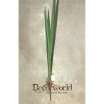 Cymbidium levél 80cm