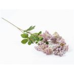 Olajág virággal 72cm - Lila