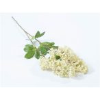 Olajág virággal 72cm - Krém