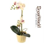 Selyemvirág Phalaenopsis cserépben 45cm - krém/zöld