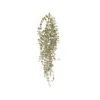 Csüngő növény 90 cm