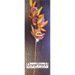 Gesztenye ág terméssel 85cm