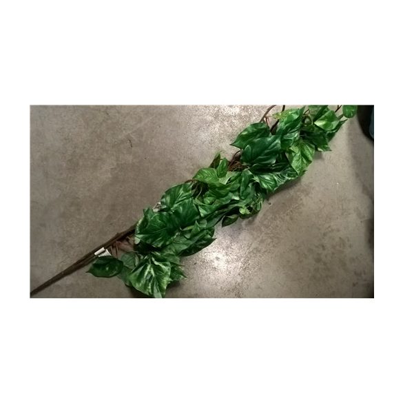 Zöld leveles futó 80 cm