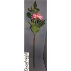 Hortenzia 110cm 4 szín