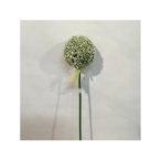 Hagymavirág ág 70cm fehér