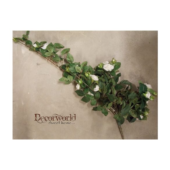 Futórózsa fehér 70cm