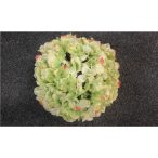 Hortenzia gömb 21cm zöld