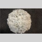 Hortenzia gömb 15 cm - Fehér
