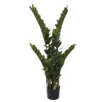 Zamioculcas 110cm