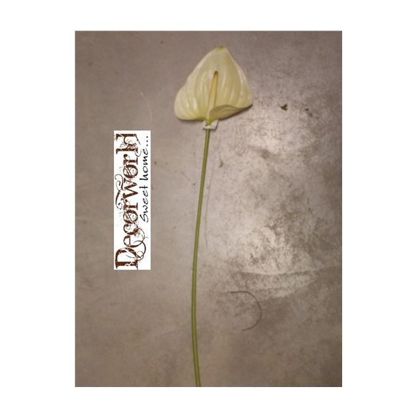 Flamingó gumi 80cm krém