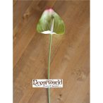 Flamingó gumi 80cm zöld