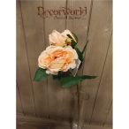 Rózsa szálas 5 fej Lazac 45cm