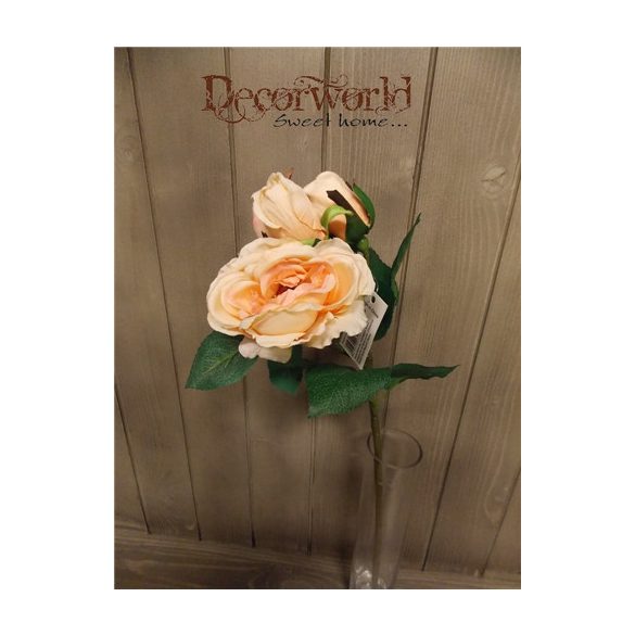 Rózsa szálas 5 fej Lazac 45cm