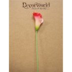 Gumikála 60cm - Krém/piros