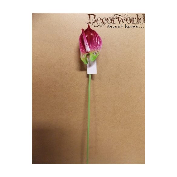 Flamingóvirág gumi 56cm bordó