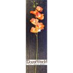 Phalaenopsis Orchidea natural touch 60cm narancs