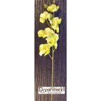 Phalaenopsis Orchidea natural touch 60cm zöld