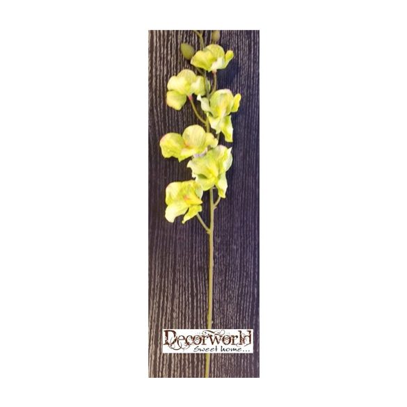 Phalaenopsis Orchidea natural touch 60cm zöld