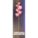 Phalaenopsis Orchidea natural touch 60cm mályva