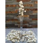 Bogyós ág 25 cm- Krém /DB