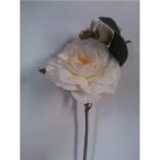 Rózsaszál bimbós 25cm Fehér