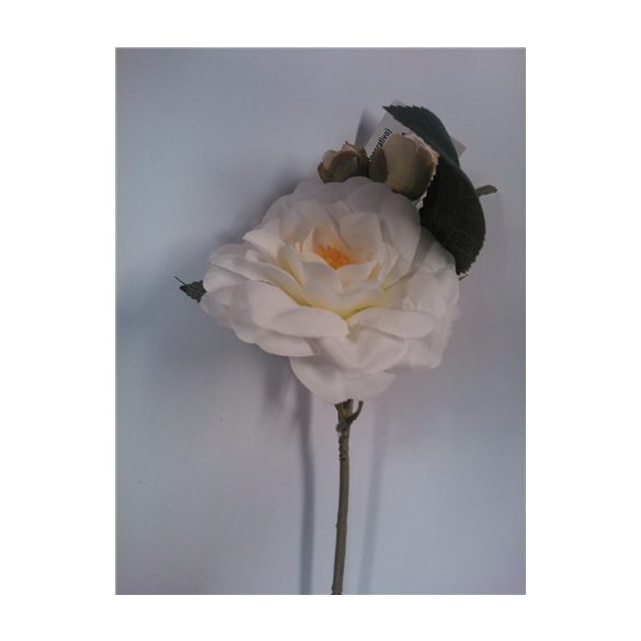 Rózsaszál bimbós 25cm Fehér